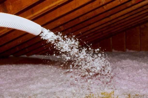Best Crawl Space Insulation  in Louisville, MS