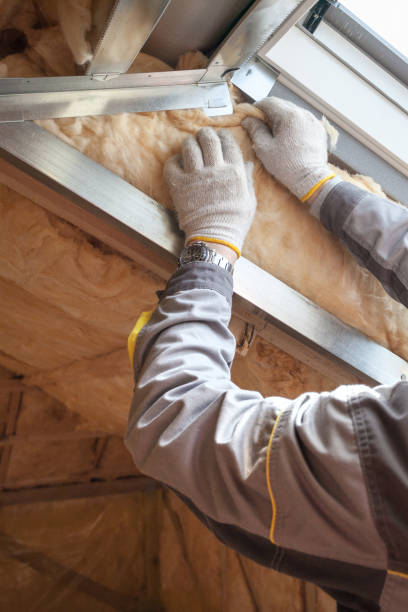 Best Affordable Insulation Services  in Louisville, MS