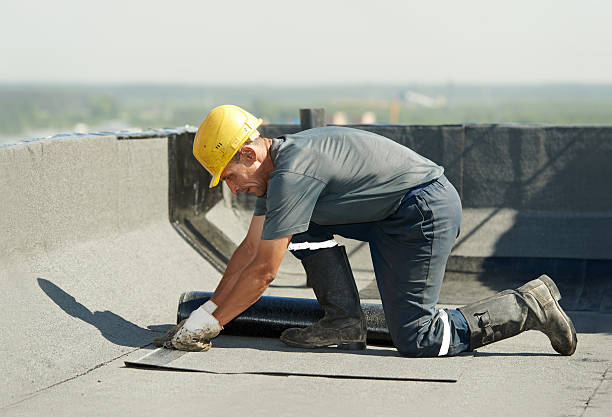 Best Insulation Replacement Services  in Louisville, MS
